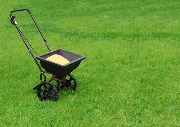 Melbourne Lawn Treatment